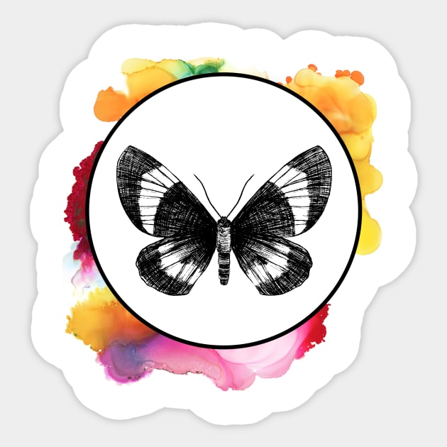 Color Splash Butterfly Sticker by TeeRex